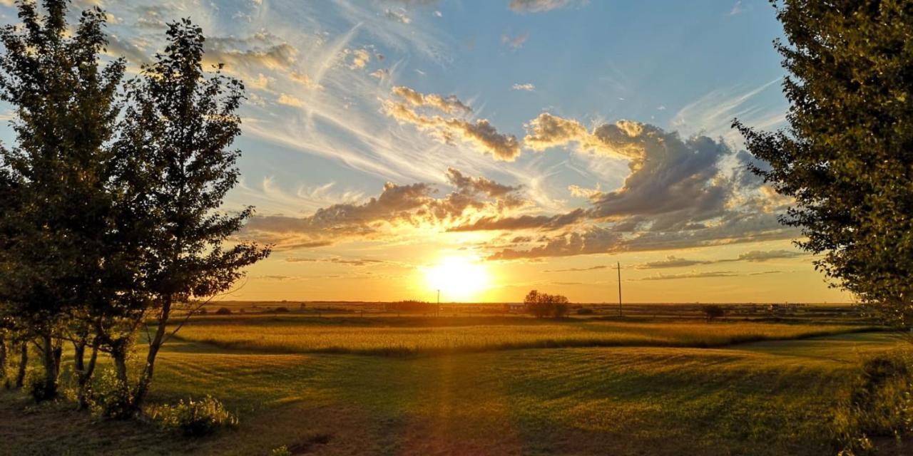 Anna'S Prairie Comfort B & B Moose Jaw Esterno foto